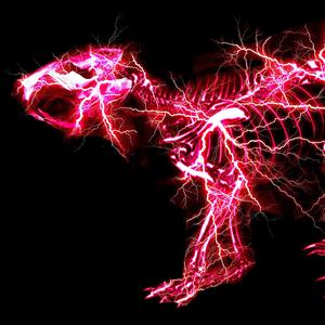 网禁国产女网站
