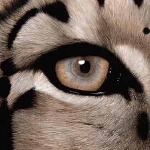 网禁国产女网站
