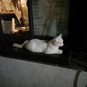 网禁国产女网站
